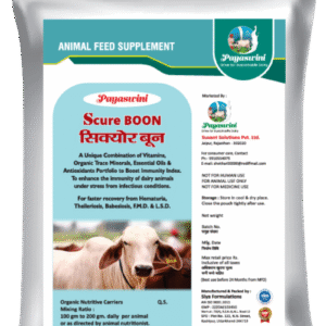 PAYASWINI SCURE BOON पयस्विनी सिक्योर बून