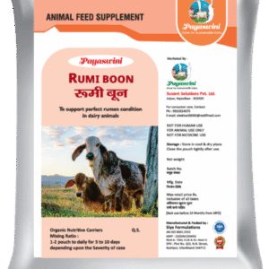 PAYASWINI RUMI BOON पयस्विनी रूमी बून