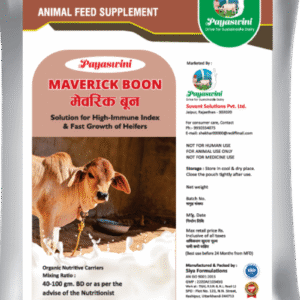 PAYASWINI MAVERICK BOON पयस्विनी मैवरिक बून