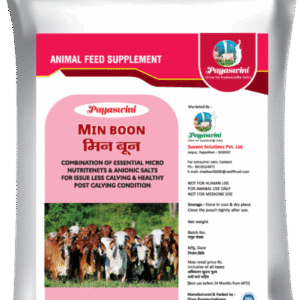 PAYASWINI MIN BOON पयस्विनी बून